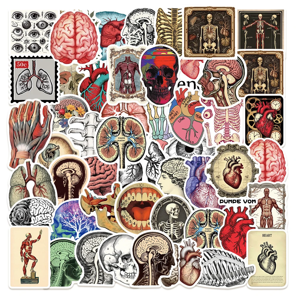 

10/30/50pcs Retro Scientific Human Anatomy Stickers Heart Skull Medical Organs Decals Notebook Luggage Laptop Skeleton Sticker