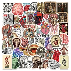 10/30/50pcs Retro Scientific Human Anatomy Stickers Heart Skull Medical Organs Decals Notebook Luggage Laptop Skeleton Sticker