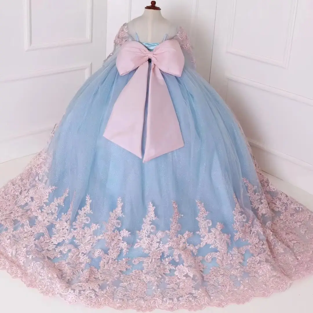 

Customized Sky Blue Flower Girl Dress Pink Floral Appliques With Bow Long Sleeve For Wedding Birthday Prom Banquet Princess Gown
