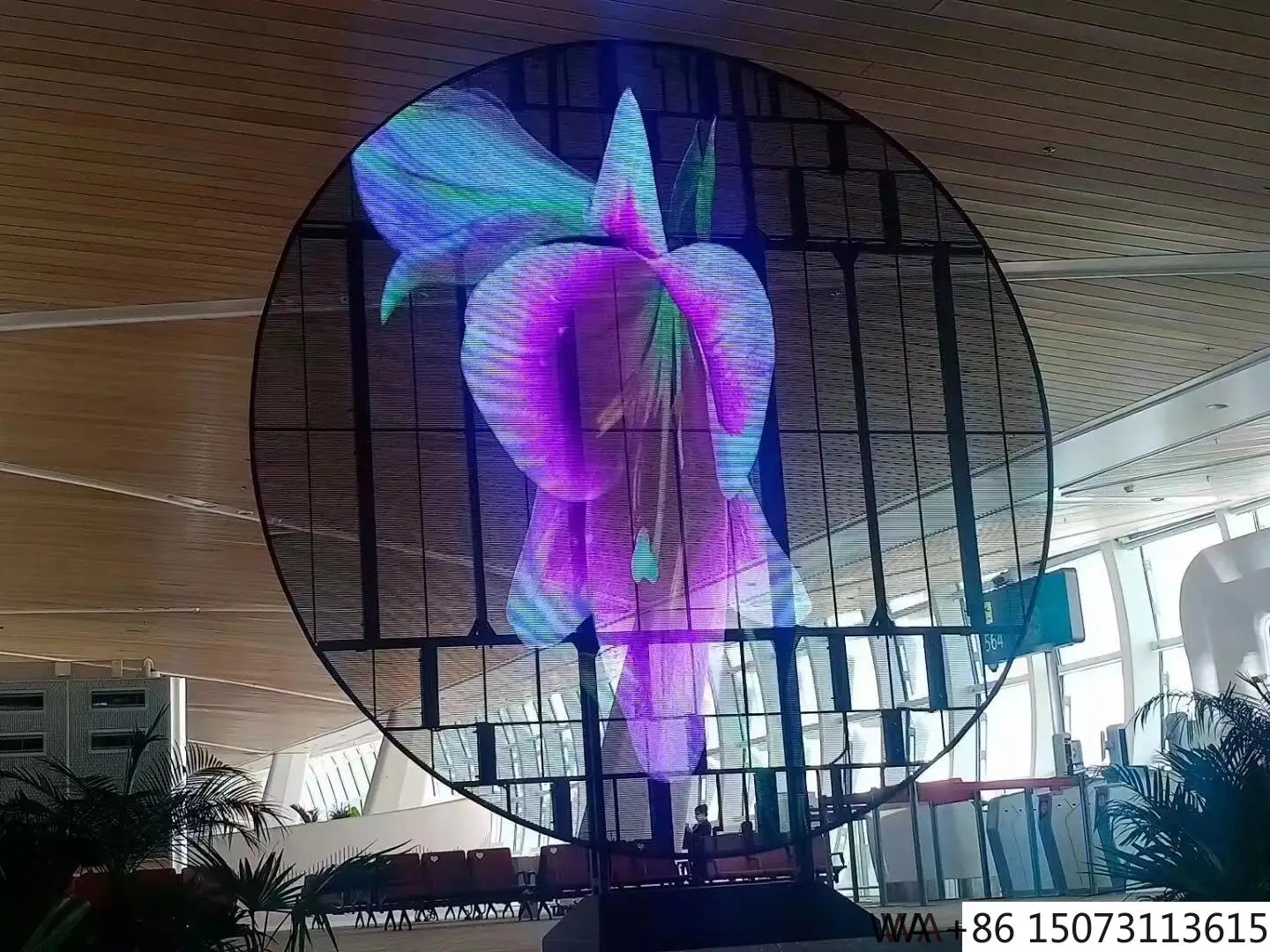 Tela redonda LED transparente P3.91 - Display de alta transparência para Windows de loja