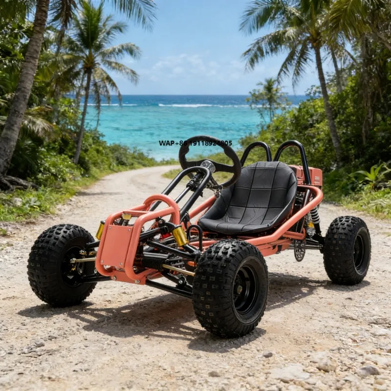 Customizable Off-road Go-Kart Gokart for Off-road Racing High-Performance Petrol Engine Professional Racing Gokart