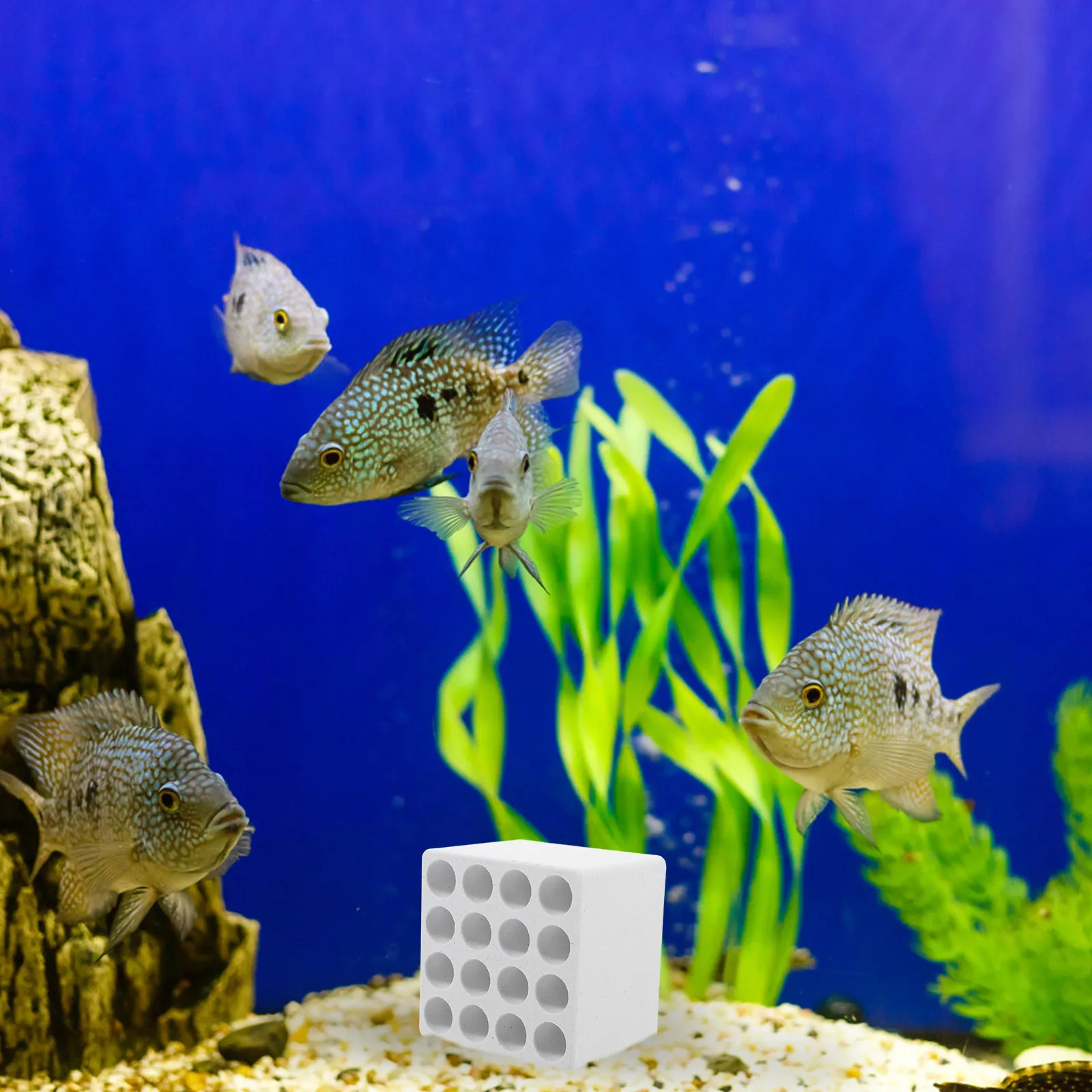

Purple Sand Aquarium Rock Decor Fish Tank Cichlid Cave Shrimp Hideout Fish Breeding Shelter Hermit Crab Habitat