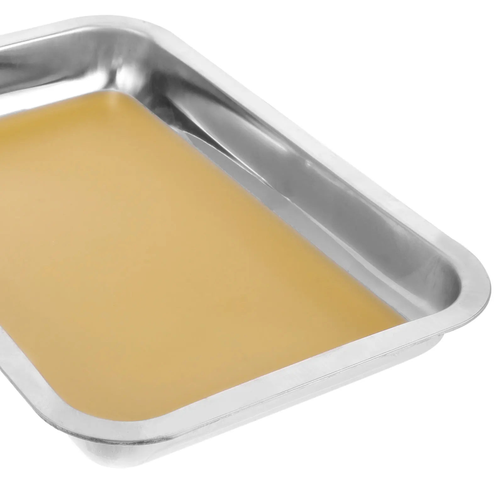 Wax Dissection Stainless Steel Polished Lab Biological Experiment Tool Dissection Tray Dissecting Plate Metal Wax Tray