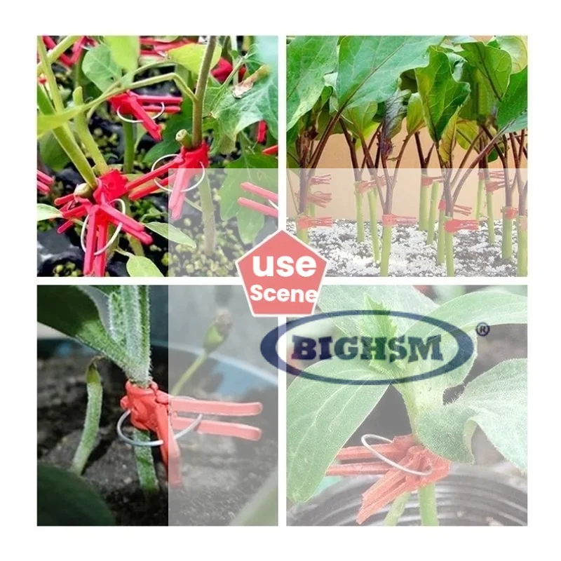 50/100Pcs Plant Grafting Clips Plastic Spring Support Clamp Reusable Fixing Clip For Vegetable Seedling Garden Cultivation
