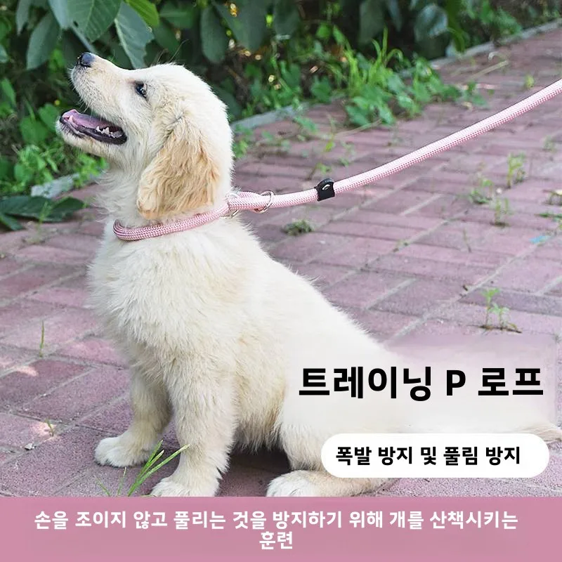 

No-Pull Clip Pet Collar Dog Adjustable Harness Durable Harness Reflective Leash Walking Anti-Escape Waterproof Lightweight Puppy