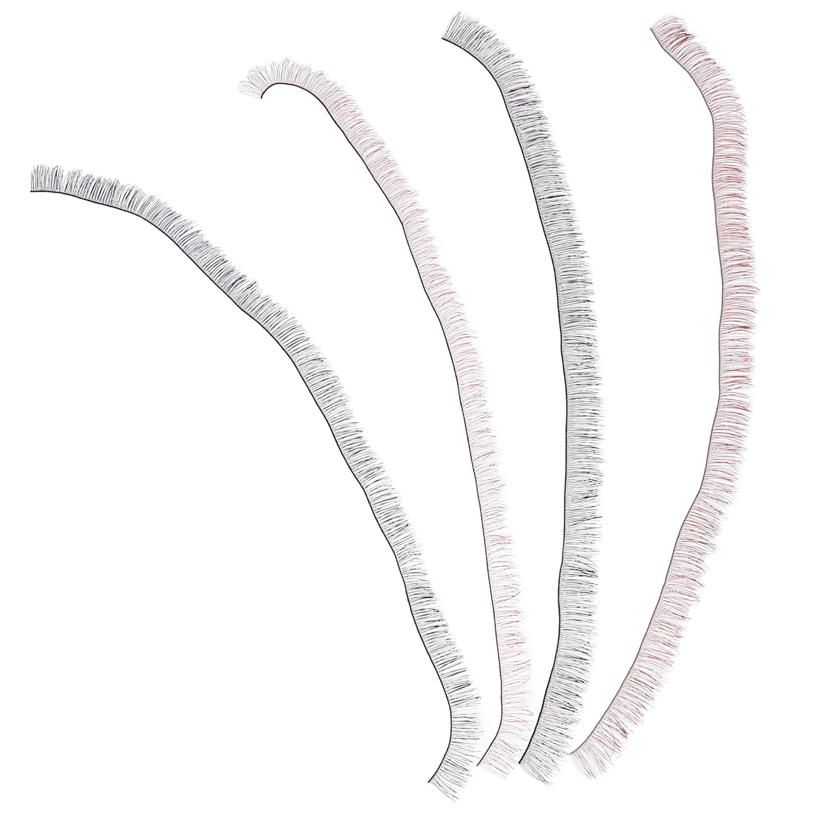 

4Pcs Eyelashes Accessories Black 1cm 0.8cm Brown 1cm 0.8cm Fashionable Full False Lashes for Accessories