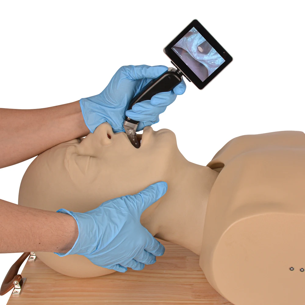 

ATM Adult Airway Management Trainer, CPR Manikin, Silicon Model