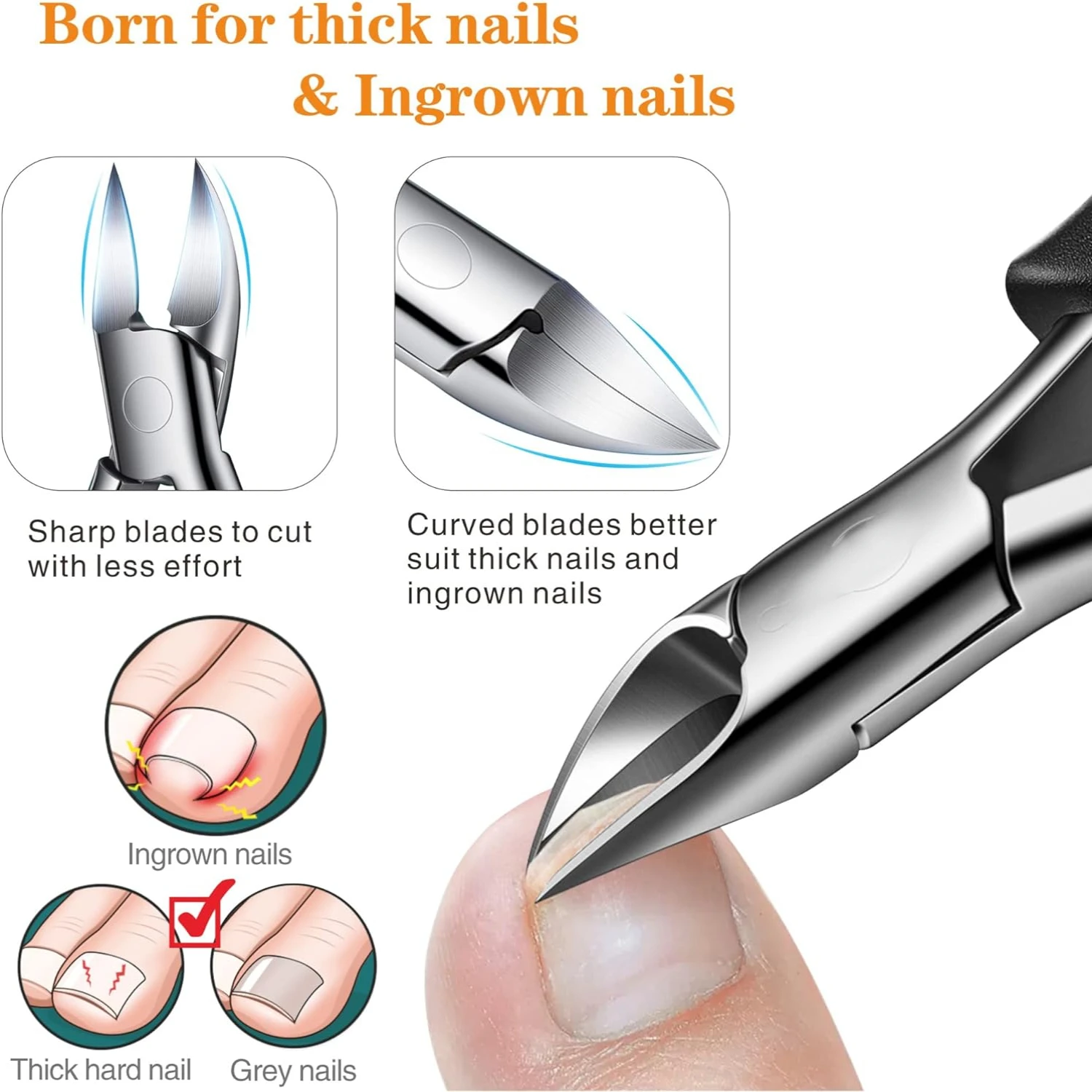 Premium Stainless Steel Curved Toenail Clippers for Seniors – Precision Grooming Tool for Ingrown & Thick Nails – Profession