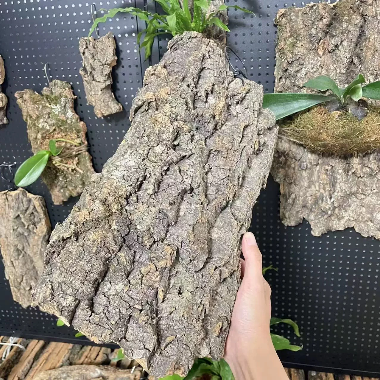 �y�Z�[�����z���̐A�͗p�V�R����݂艺���{�[�h �R���N�ł͂Ȃ� ���̊p �V�_ ���� �Œ�{�[�h ���i���� �y�b�g�p�i