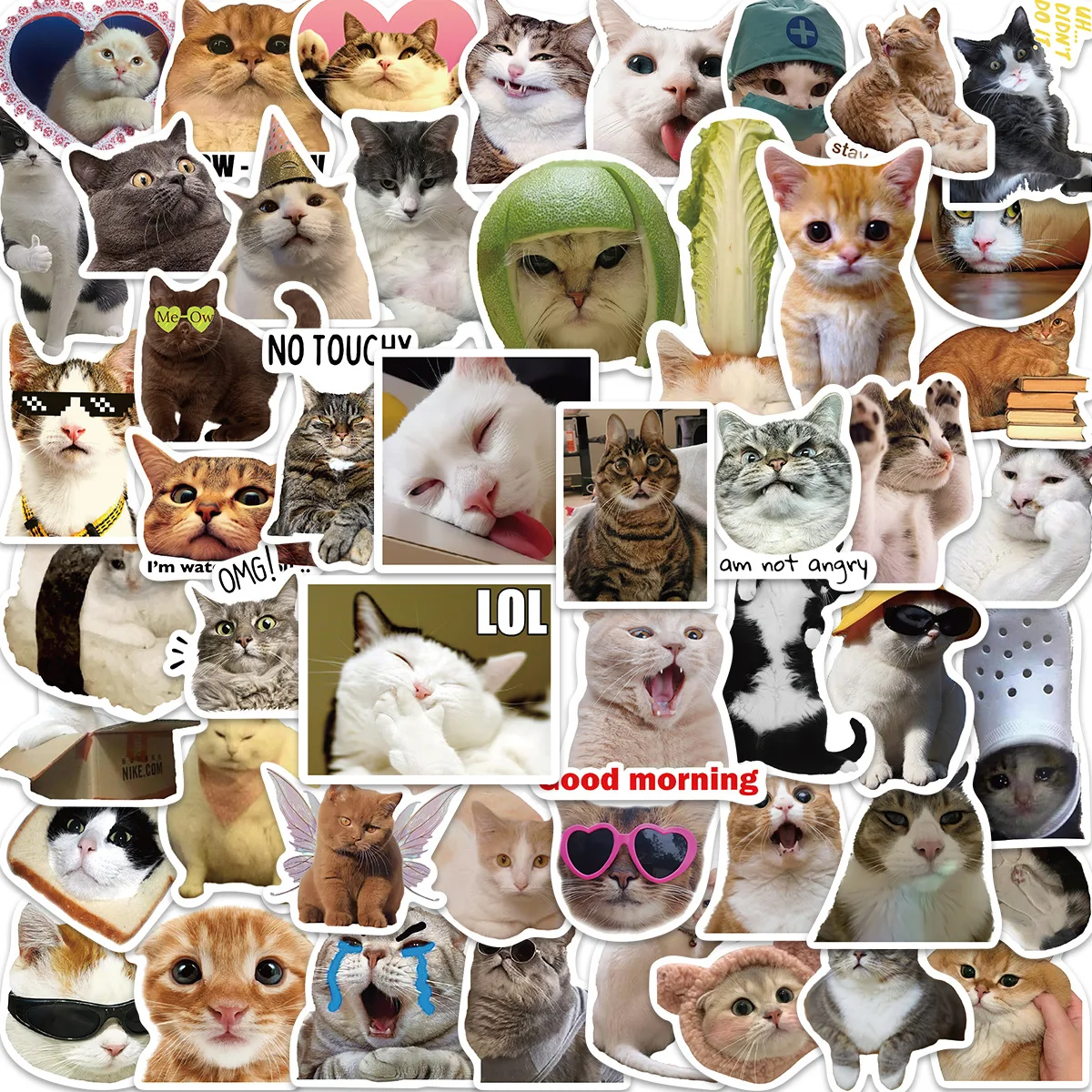 50PCS Nette Lustige Katze MEME Tiere Graffiti Aufkleber Telefon Gitarre Laptop Notebook Koffer Tasse Wasserdichte Aufkleber Kinder Spielzeug