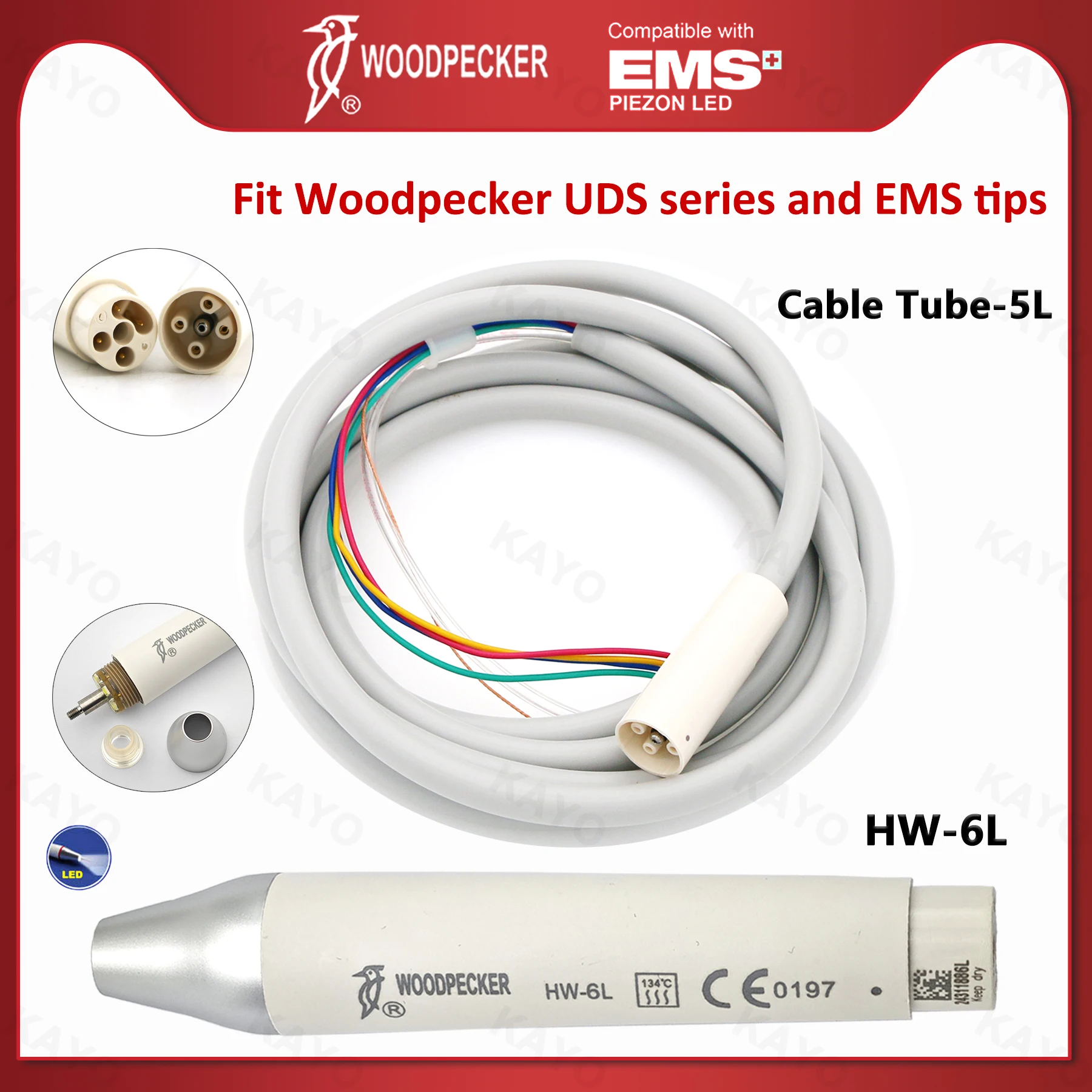 Woodpecker Dental Ultrasonic Scaler Handpiece With LED Light Handpiece HW-6L Detachable Cable 5L Torque Wrench Fit EMS UDS