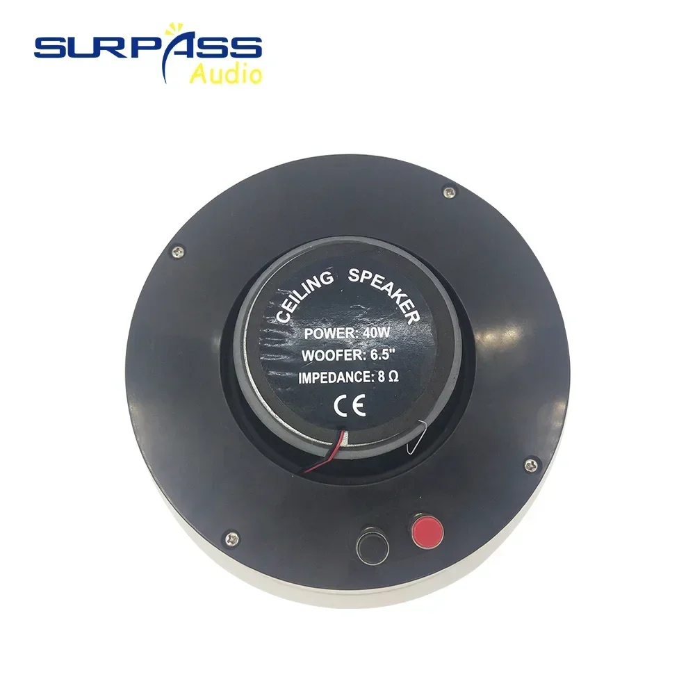 2025 مكبر صوت سقف WIFI عالي الدقة يدعم التحكم الذكي في التطبيقات، صوت ستيريو، مكبر صوت PA داخلي #4