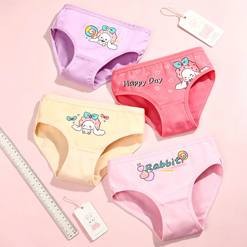 4-Pack Cute Cartoon Girls Panties Premium Soft Cotton Girls Briefs with Pretty Rabbit Flamingos Pattern 2-9T Children Underwear