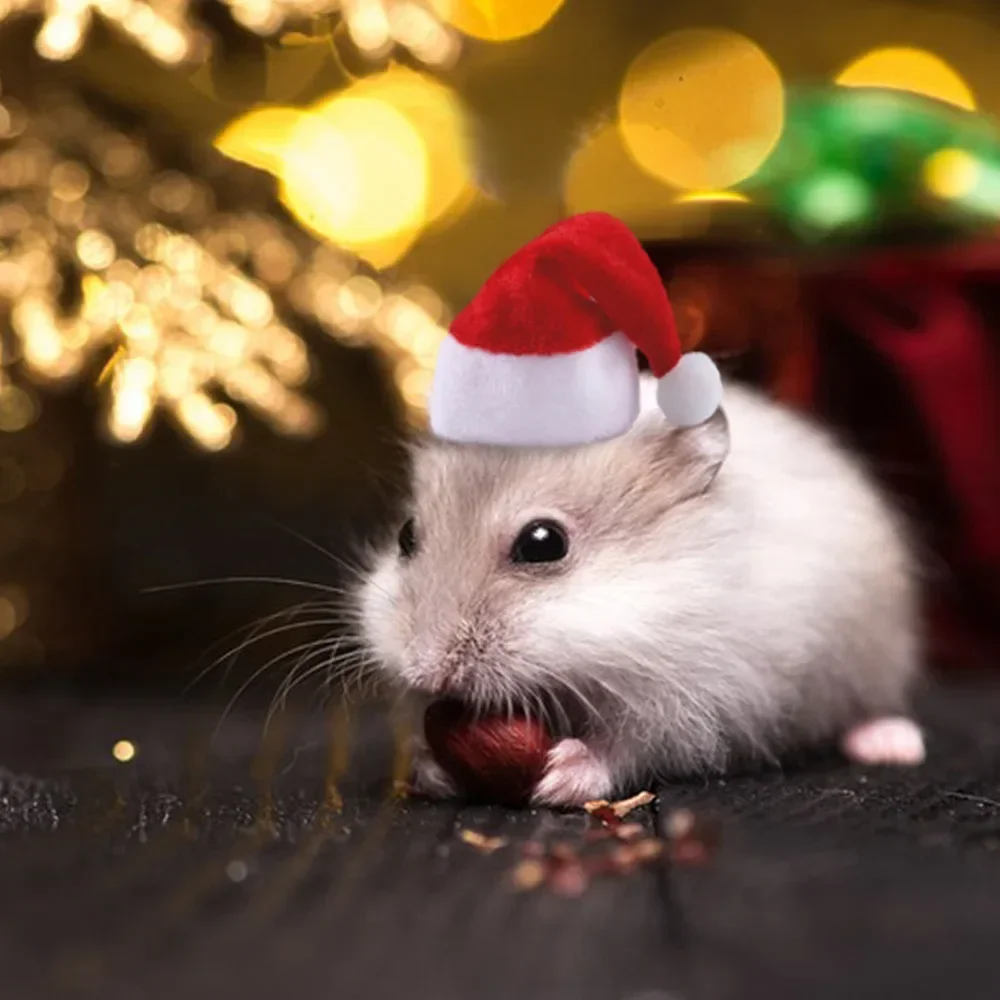 Hamster Guinea Pig Christmas Cap Costume Mini Small Pet Hat Xmas Headwear Pet Outfits for Chinchilla Rabbit Hedgehog햄스터