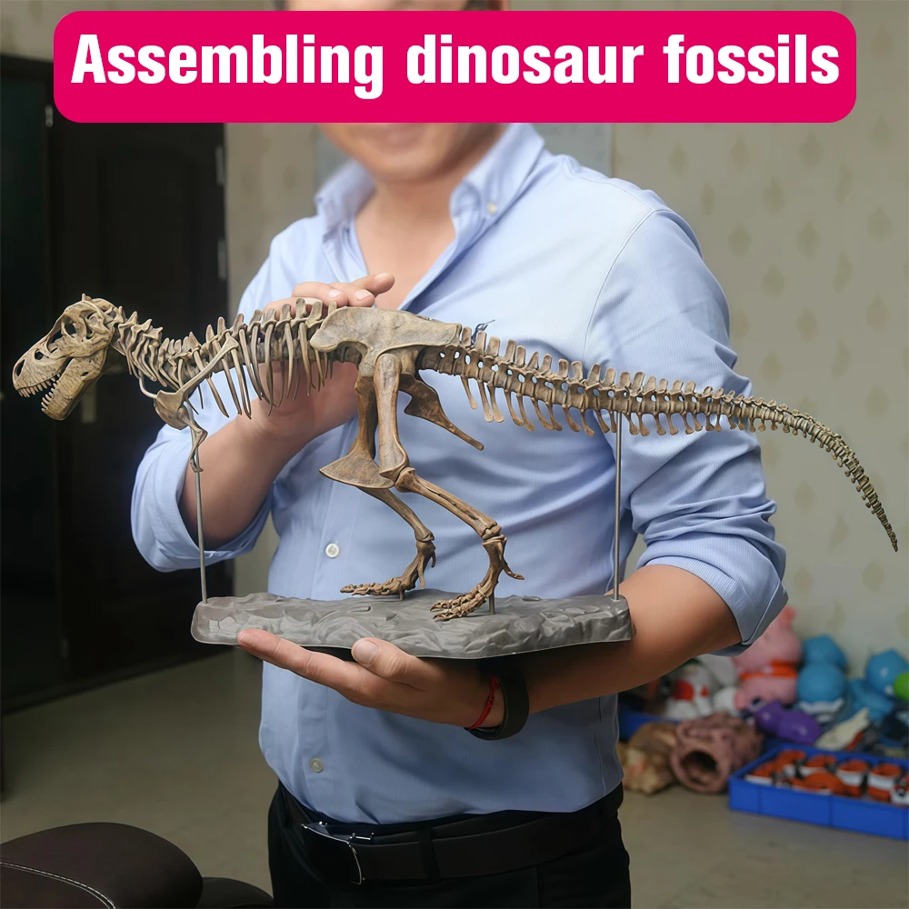 70 cm DIY-Dinosaurier-Skelett-Modellbausatz – zusammengebautes T-Rex-fossiliertes Spielzeug, Jurassic Park-Simulation, perfektes Geschenk für Jungen