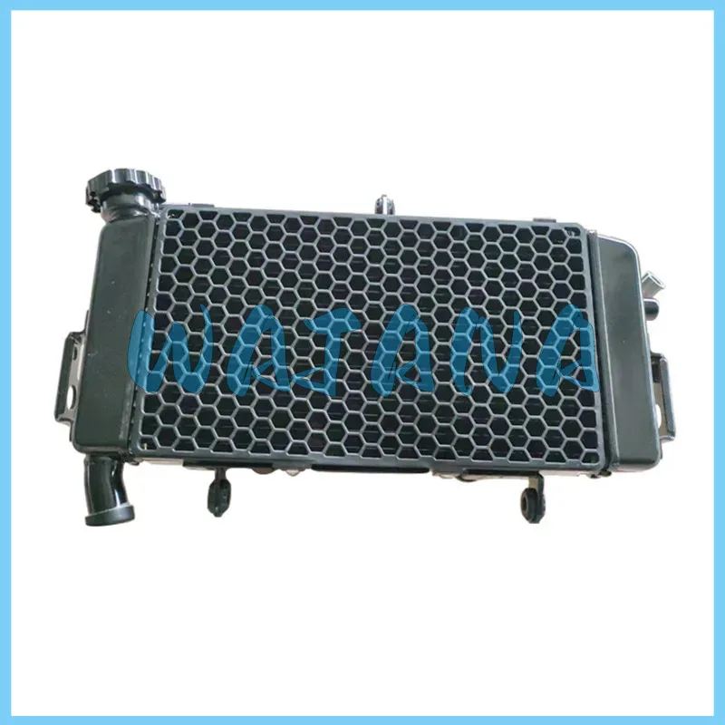 Water Tank Radiator Assembly for Kove / Colove 400f Zf400