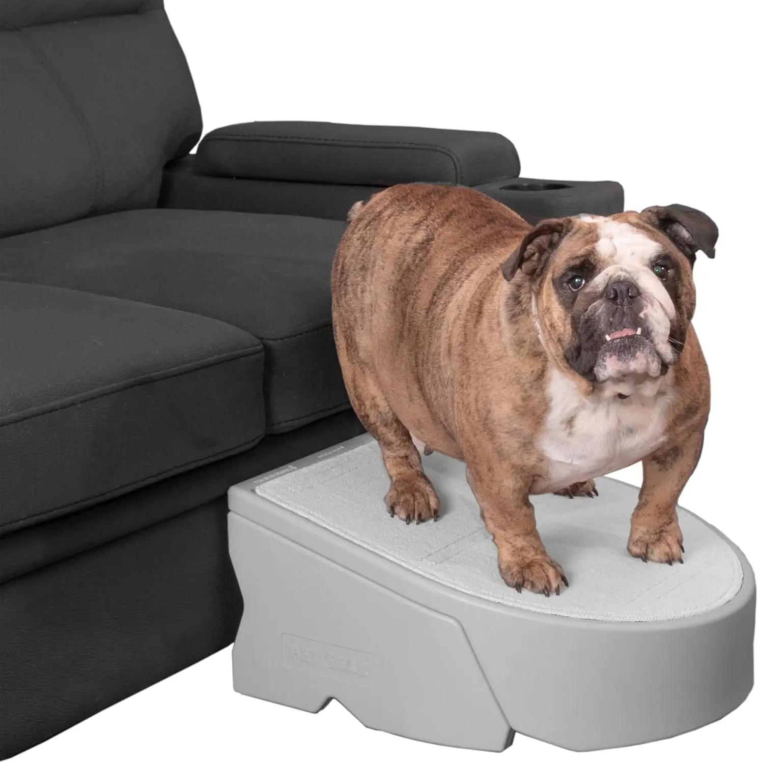 

Easy Step Pet Ramp for Dogs and Cats, Lightweight Portable Sturdy Assembly No Tools