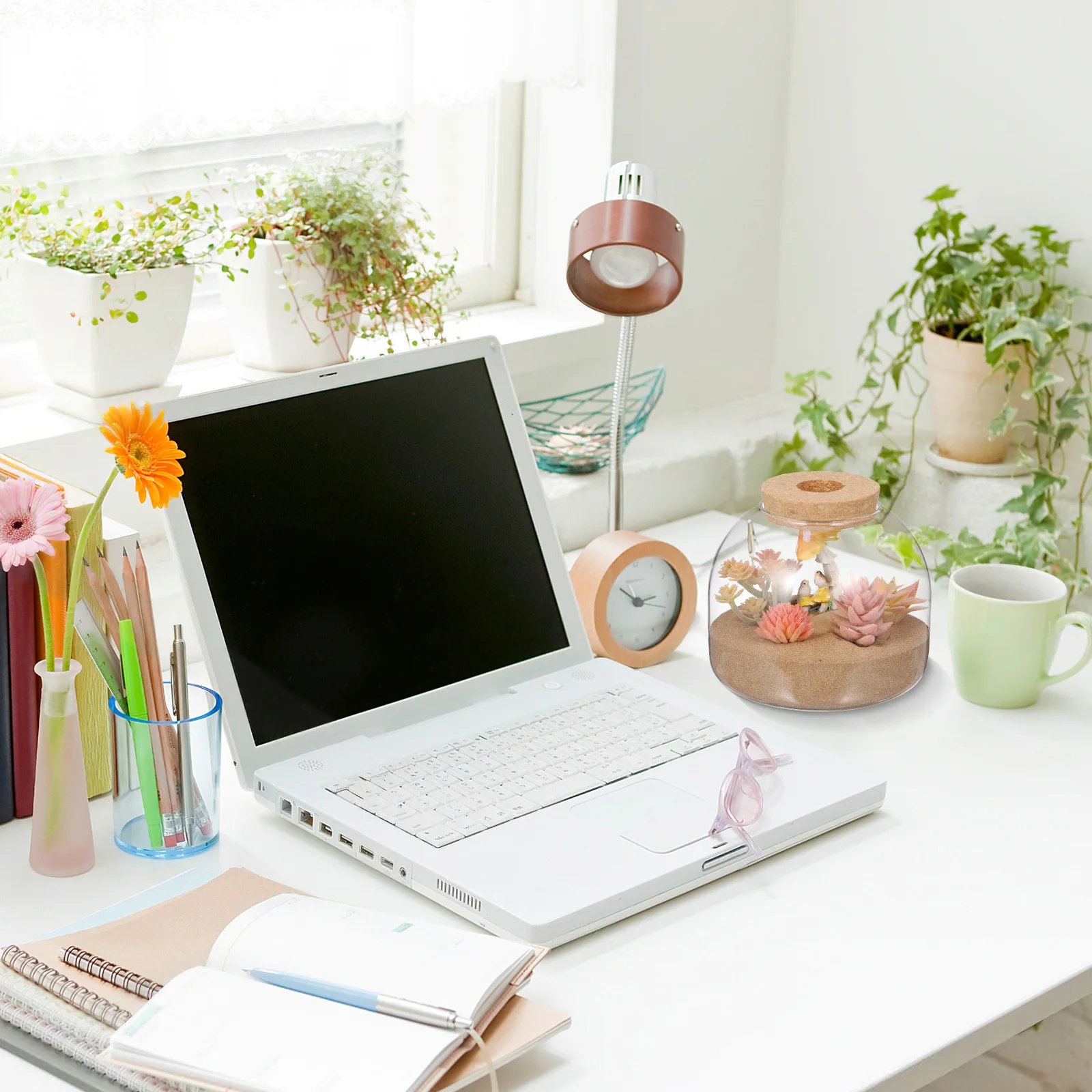 

Glass Terrarium Jar Wood Stopper Micro Landscape Container Hydroponic Plants Decor Bedroom Living Room Terrarium Jar