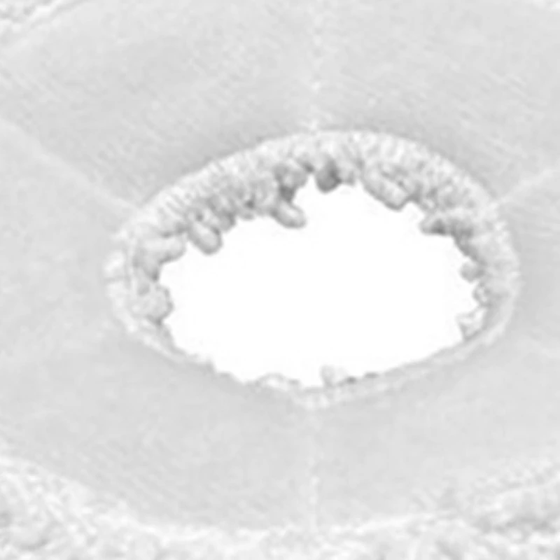 قطعة قماش ممسحة بديلة لأجزاء المكنسة الكهربائية الآلية من Ecovacs N9 Plus ، وسادة تنظيف الممسحة ، 4 +