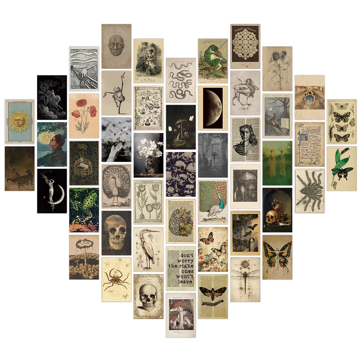 50 Stück Vintage Poster Wandcollage Kit Raumdekoration Vintage Ästhetisches Fotocollage Kit Insekt Pflanze Postkarte Halloween Dekoration – Detail 15