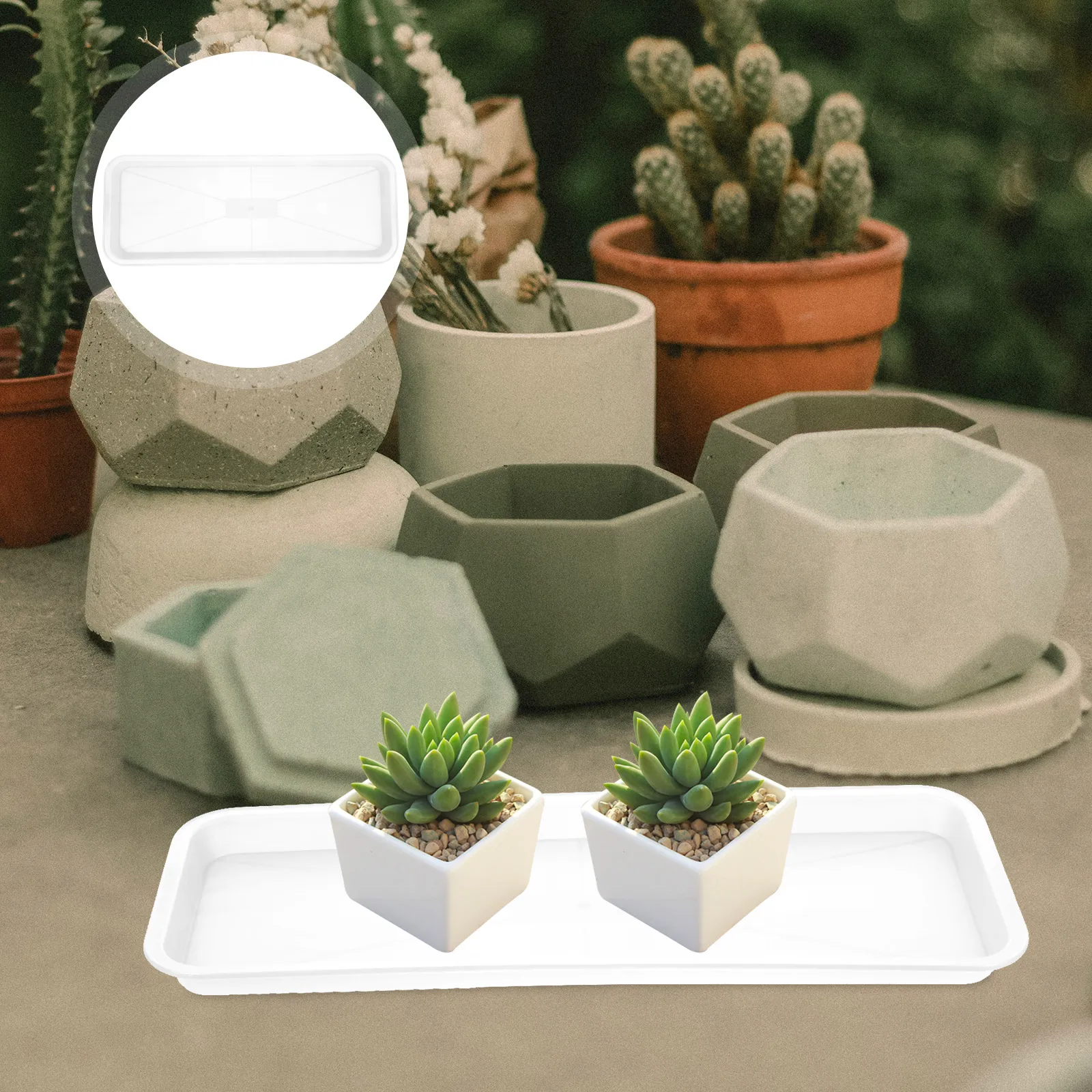 

10 Pcs Plastic Planter Saucer Durable PP Material Plant Drainage Tray Flower Pot Trays Water Catcher Practical