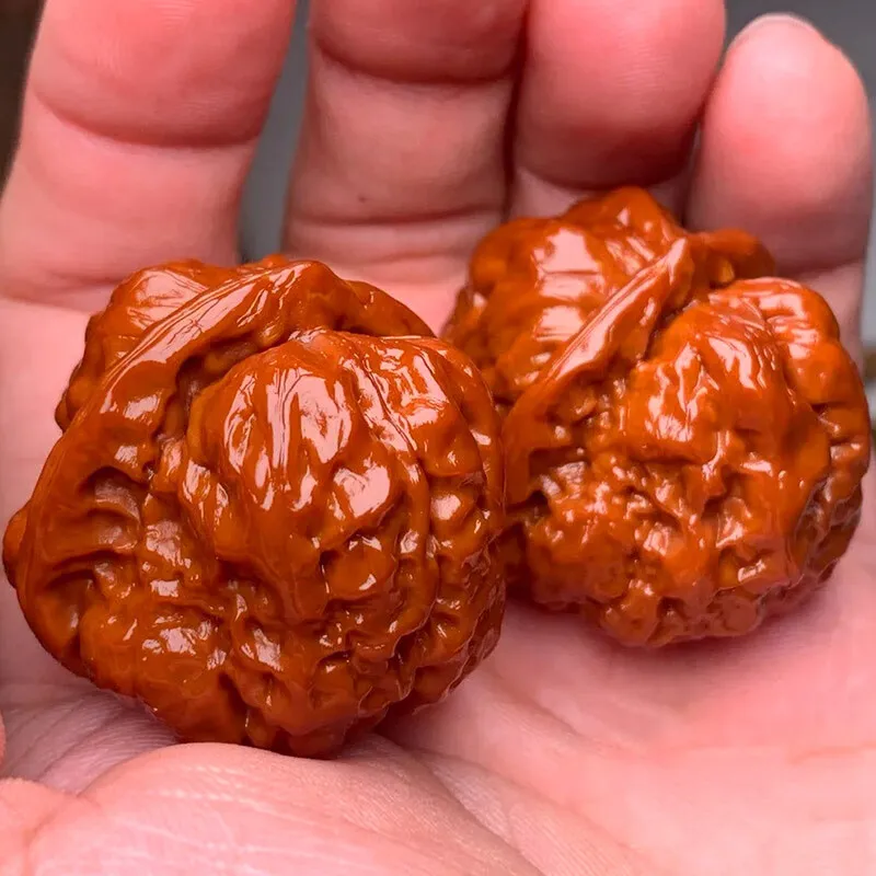 

Walnut boutique big thick tendons, toad head pumpkin pier complete product