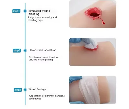 2026 NEW Trauma Simulated Wound Practice Module for Nurse Training & Schools Featuring Hemostasis & First-Aid Practice Manikins - view 4