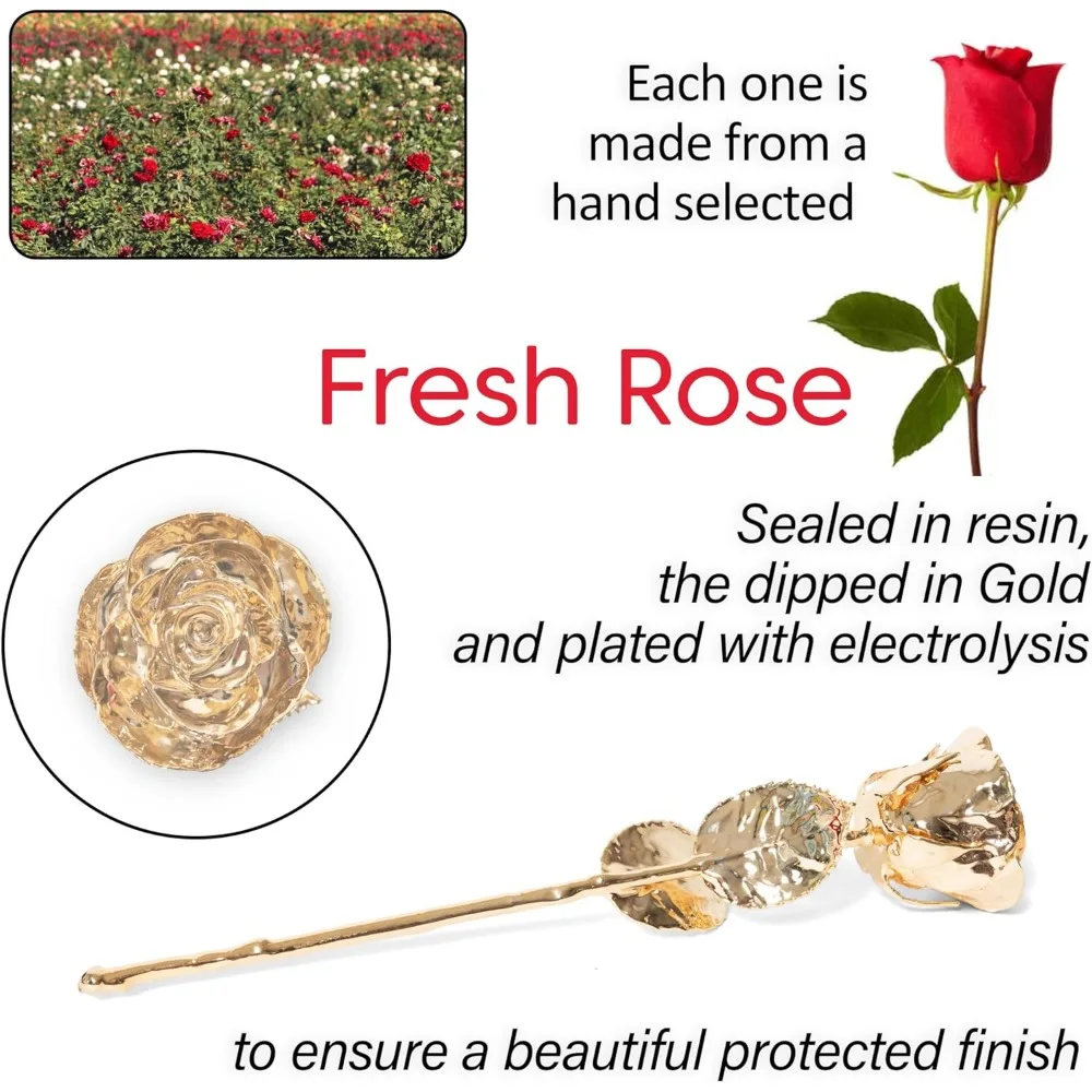 وردة أصلية طويلة محفوظة من الذهب عيار 24 قيراط مغموسة، زهرة طبيعية مسقطة كهدية أبدية للزوجة أو الأم أو S #4