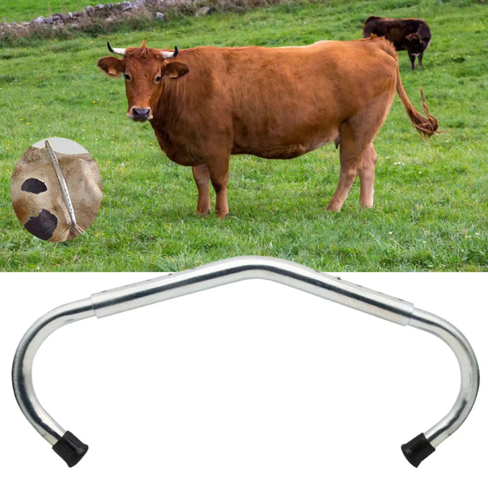 Livestock Anti Kicking Rod Cow Stop Kick Rod Portable Easy to Use Sturdy Cow Anti Kick Off Device for Dairy Farm Grooming