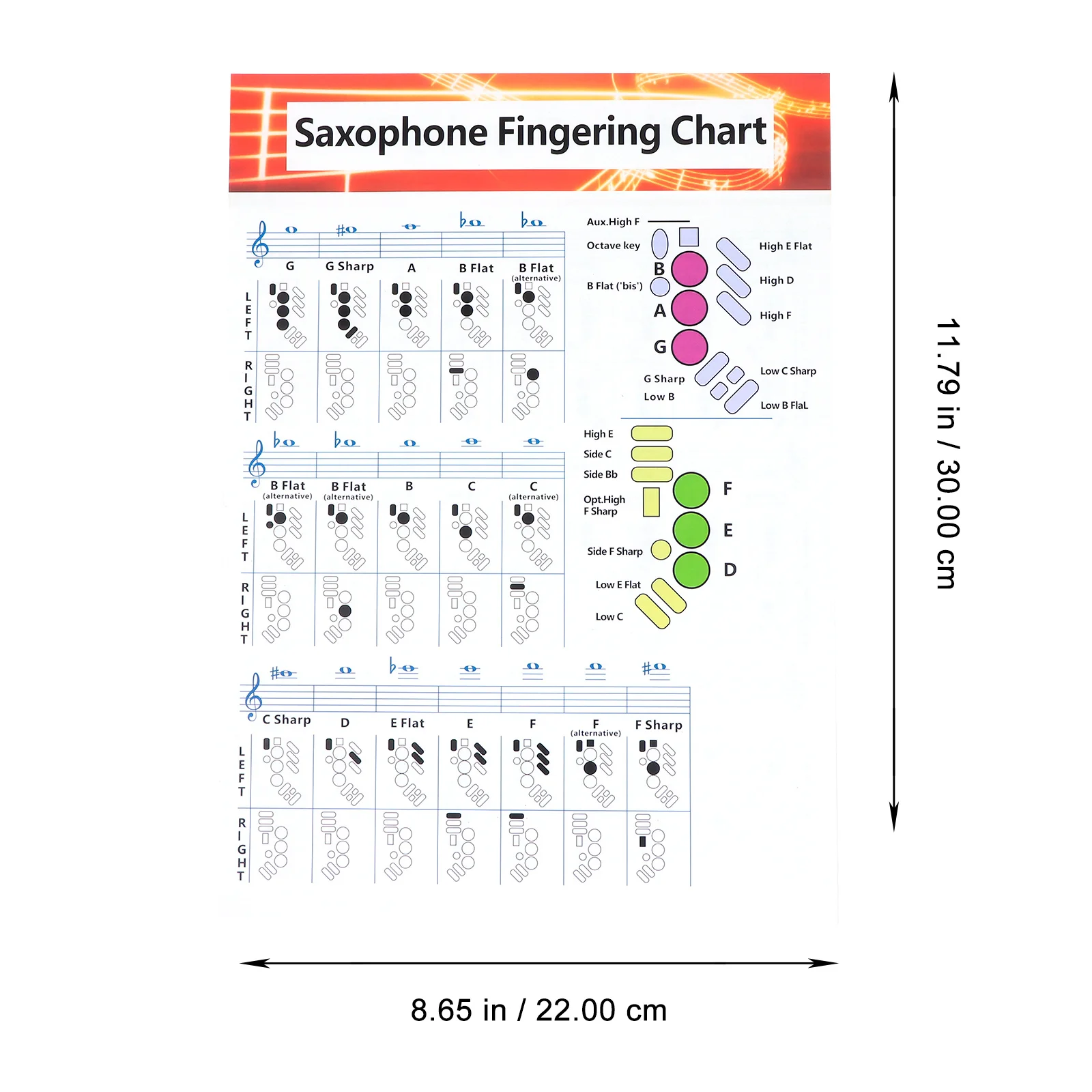 2Pcs Saxophone Chords Chart Coated Paper Music Poster Beginner Learning Guide Finger Diagram Reference Wall Practice Tool