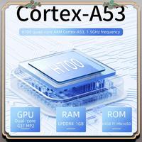 RG40XXV Retro Handheld Game Console 256G 11000+ Games 64 Bit Linux 4.0''IPS Screen WIFI RGB Joystick Video Game Player C
