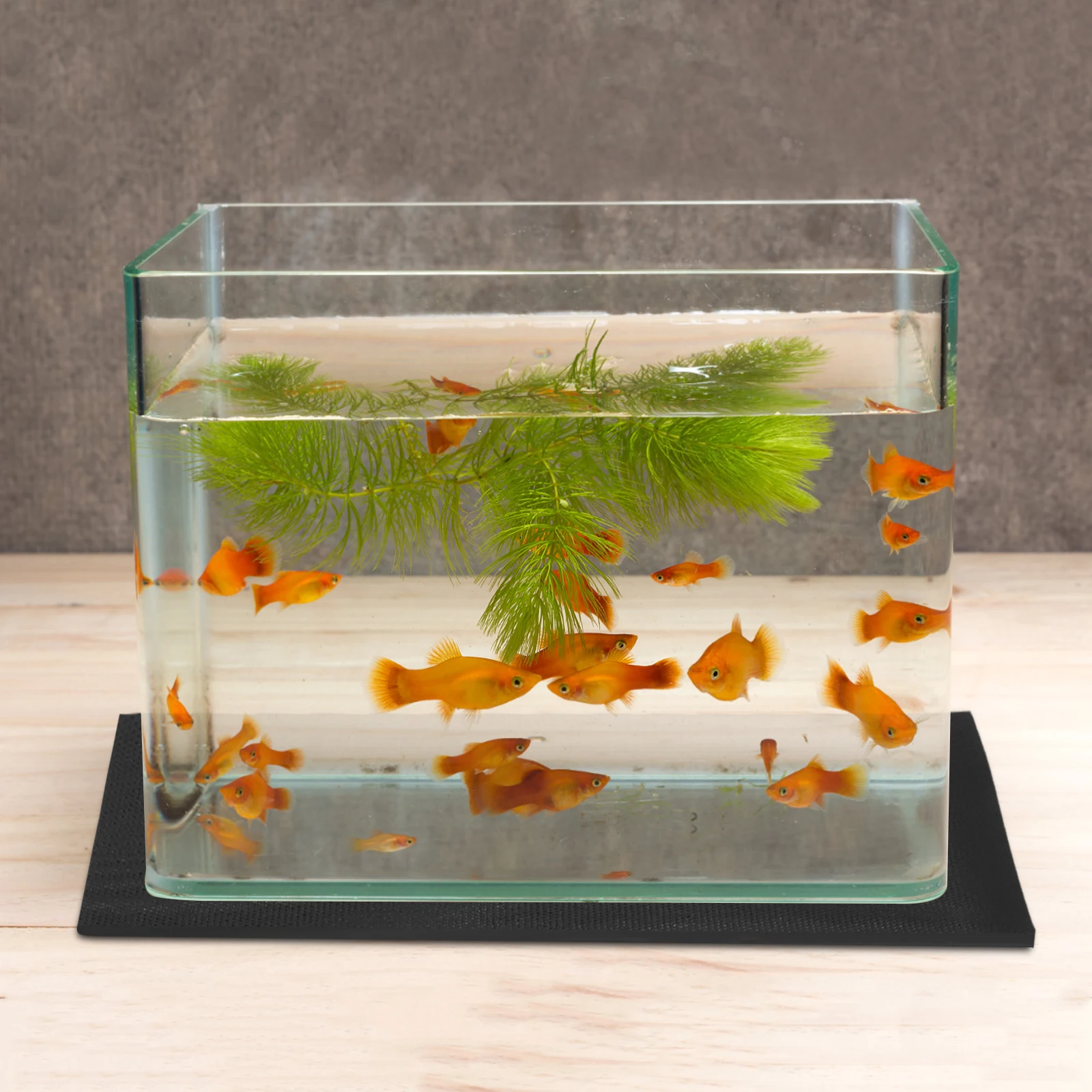 

Fish Tank Mat Heavy Duty Eva Anti-Slip Aquarium Leveling Pad for Tank Stability Long-Lasting Aquarium Bottom Mat