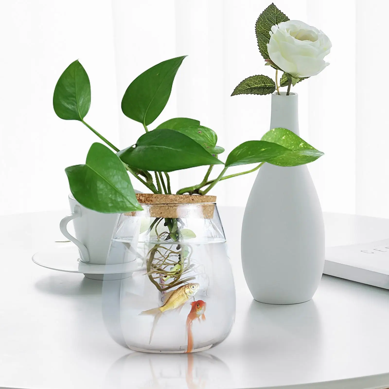 زجاجة نباتات مائية زجاج تررم حاوية المناظر الطبيعية الصغيرة Bryophyte زجاجة بيئية غطاء خشبي زهرية ديكور المنزل