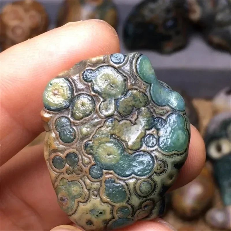 Mongolian Pretty Co…