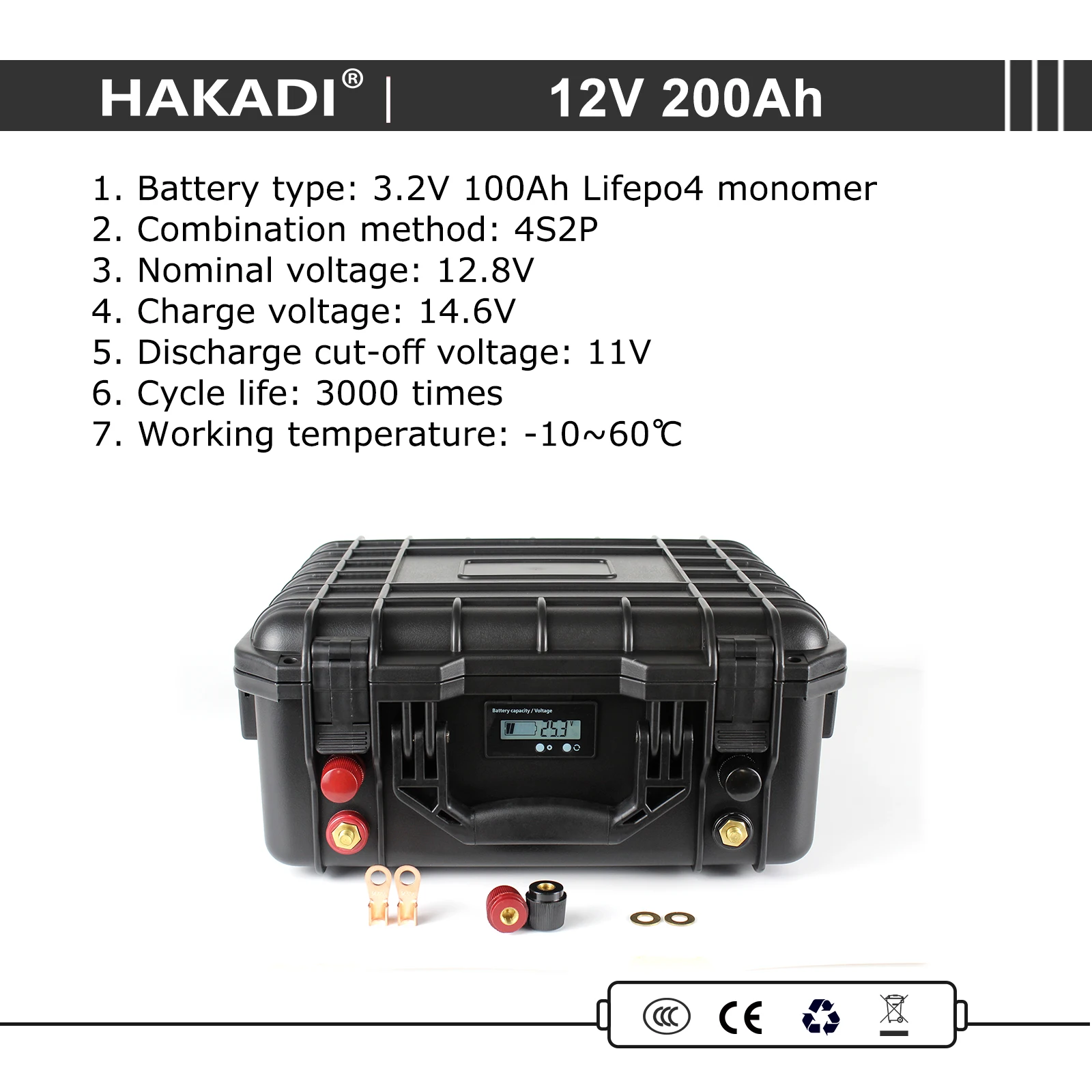 LiFePO4 Battery 12V 100Ah 1200Wh Lithium Battery with BMS over 3000+ Rechargeable Deep Cycles for Camper Motor Energy Storage