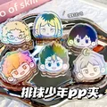 6pcs
