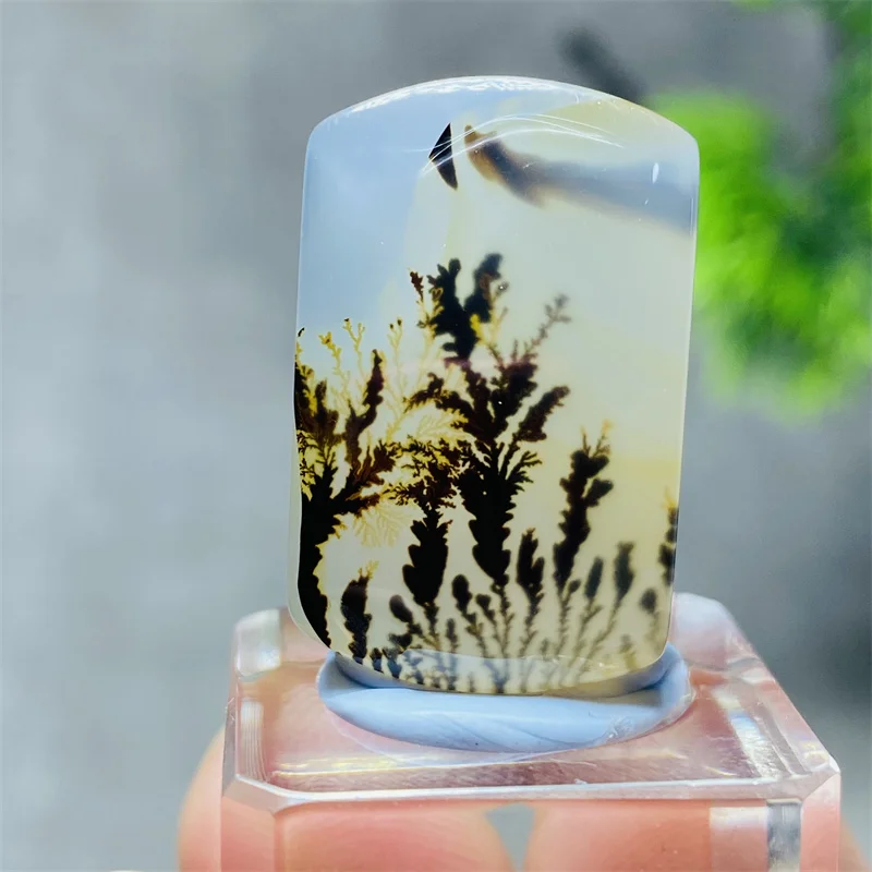 Natural Dendritic Agate Crystal Slice Energy Reiki Spiritual Meditation Healing Home Feng Shui Decoration+Bracket