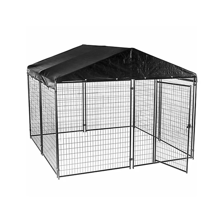 a forOutdoor Large 10x10 Steel Eco-Friendly Dog Kennels & Fencing With 3D Modeling For Multiple Dogs