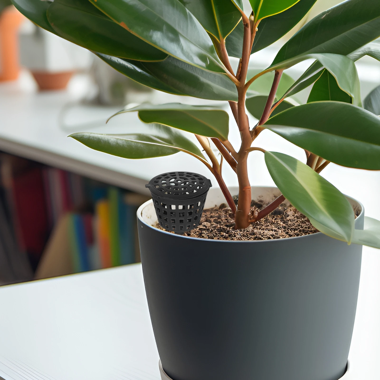 

100pcs Fertilizer Box Plastic Bonsai Nutrient Holder With Lid For Orchid Flower Small Plants Grow Tool Garden Supply Fertilizer