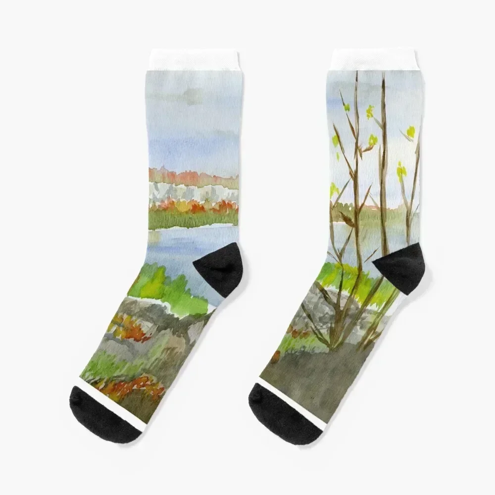 

Colpoy's Bay From Skinners Bluff Socks Crossfit New year's cartoon Man Socks Women's