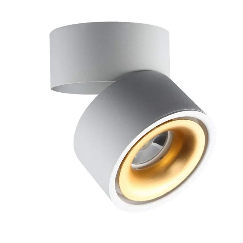A25F-Flush Mount Downlight COB LED Ceiling Light Directional Ceiling Lamp White
