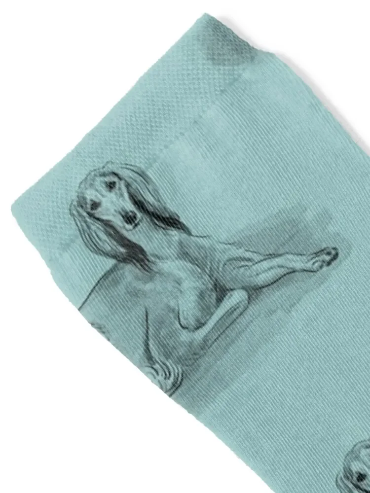 Skarpety Saluki Buty trekkingowe antypoślizgowe piłkarskie modne kolorowe skarpety męskie damskie