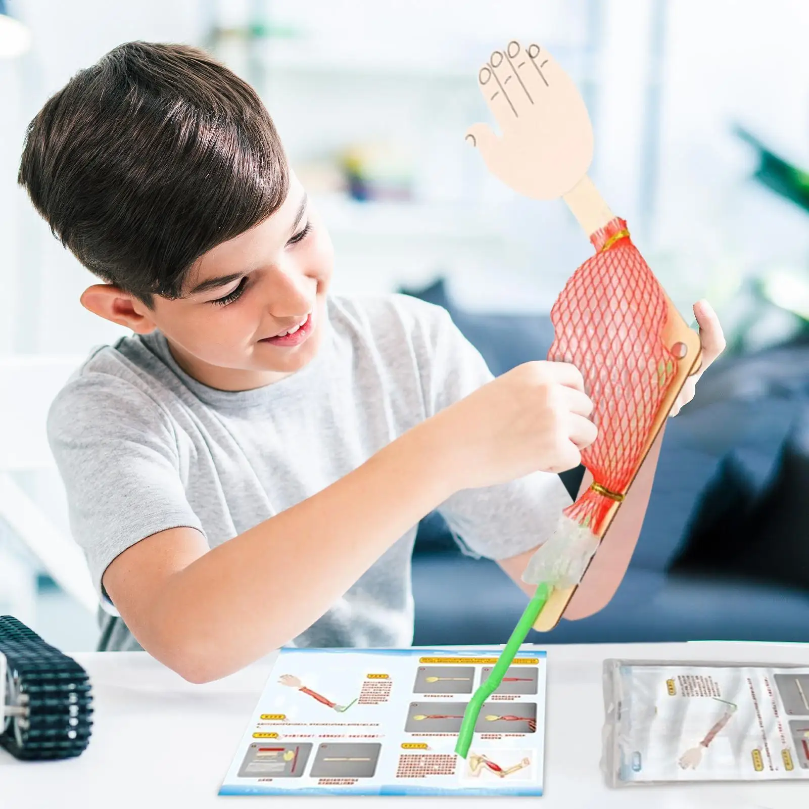 Interactive Science Project Toy Biological Science Model Science Experiment Toy For Projects Kids Learning Early Educational Toy