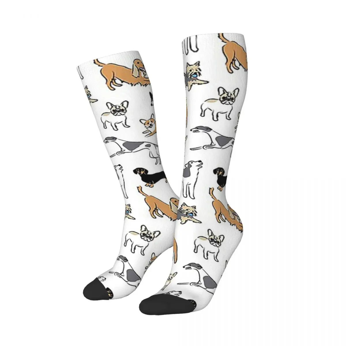 Border Collie Socks Harajuku Super Soft Stockings All Season Long Socks Accessories for Man's Woman's Christmas Gifts