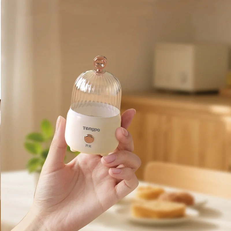다기능 계란 밥솥 100W 저전력 기숙사 미니 아침 식사 기계 홈 자동 전원 끄기 전기 스티머 주방 도구
