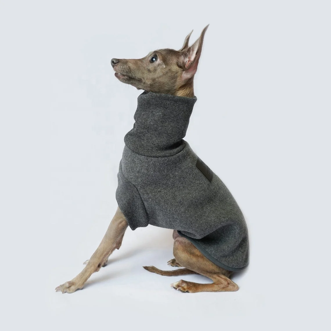 Pet Supplies Custom New Designer dog clothes dog jackets Fleece high collar Top coat vests for Italian Greyhound Whippet