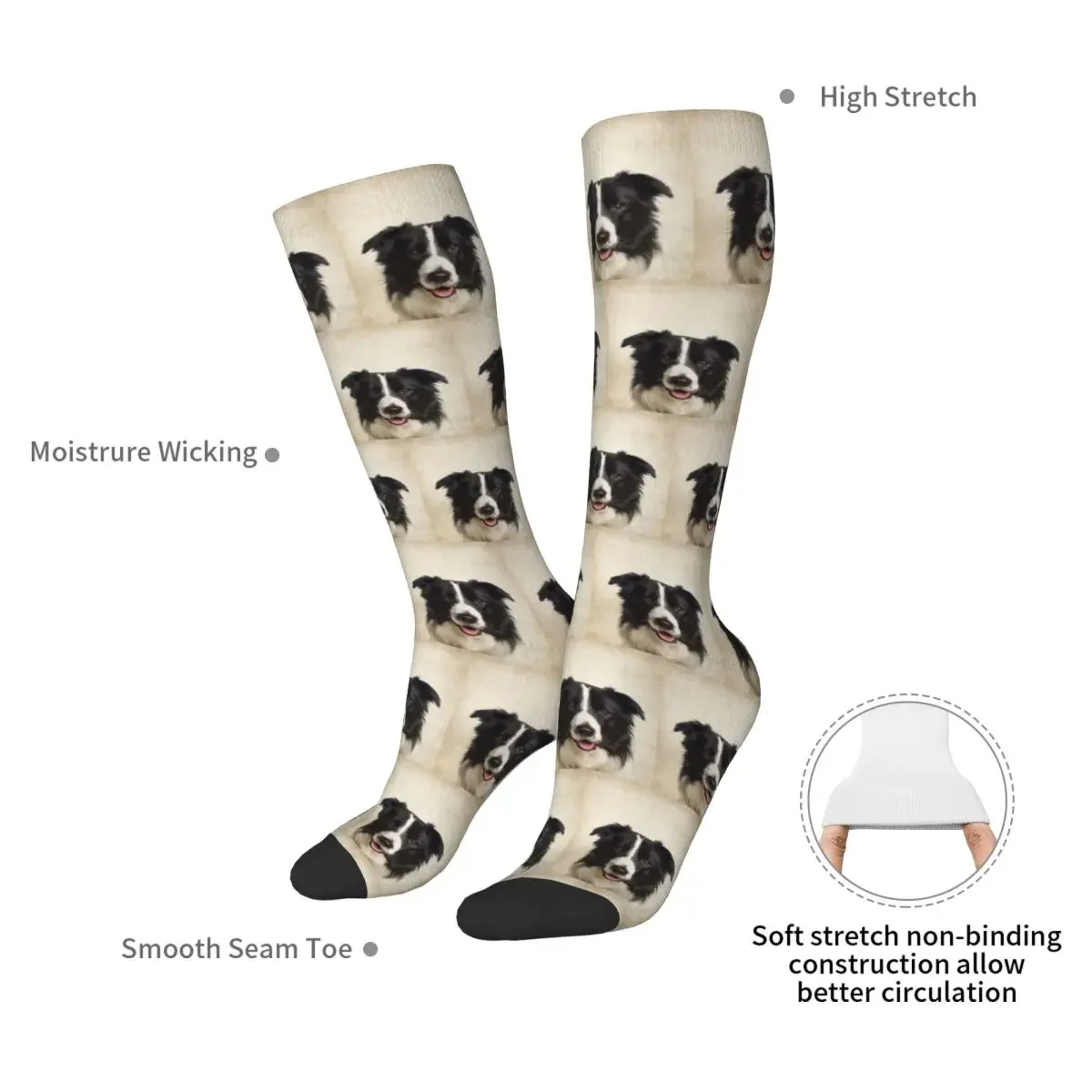 Border Collie Art,Domestic Dog, Animal Portrait Socks Harajuku Stockings All Season Long Socks for Man's Woman's Birthday Gifts