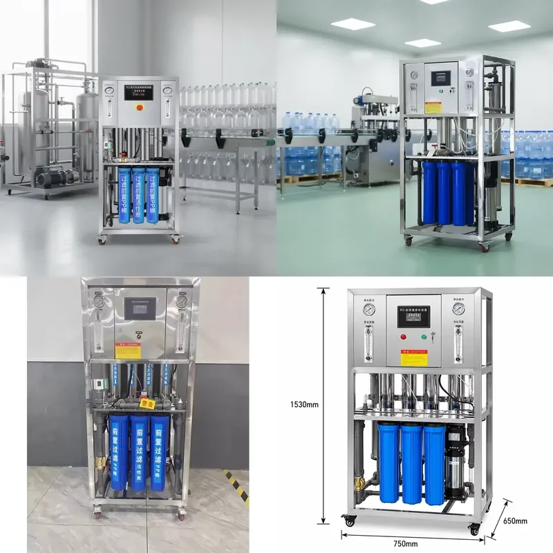 for BNTET 1000LPH 6400GPD RO Water Treatment Equipment DC Pump PLC Control System Small Drinking Water Purification Plant