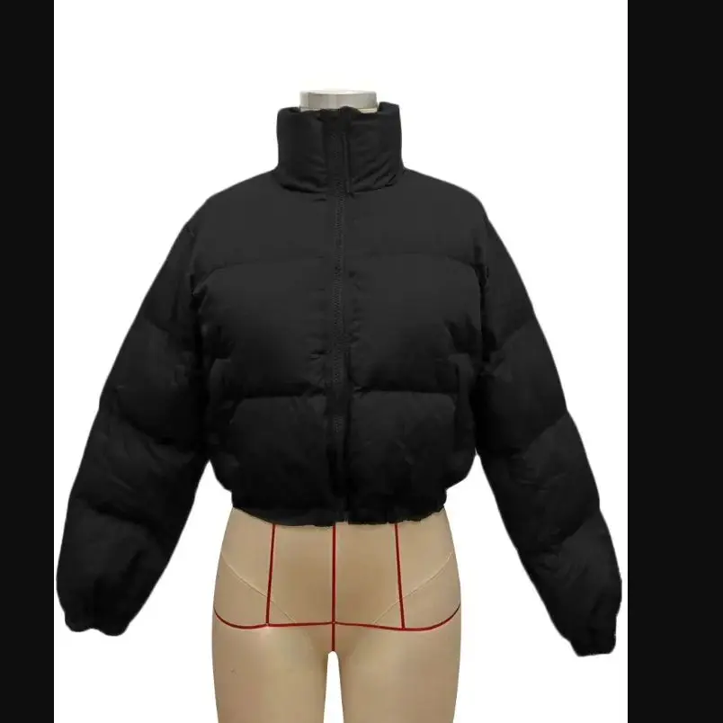 

Толстые теплые пальто для женщин, уличная одежда, осень и зима 2024, новые серые шорты на молнии, парки, куртки, верхняя одежда, укороченные женские топы