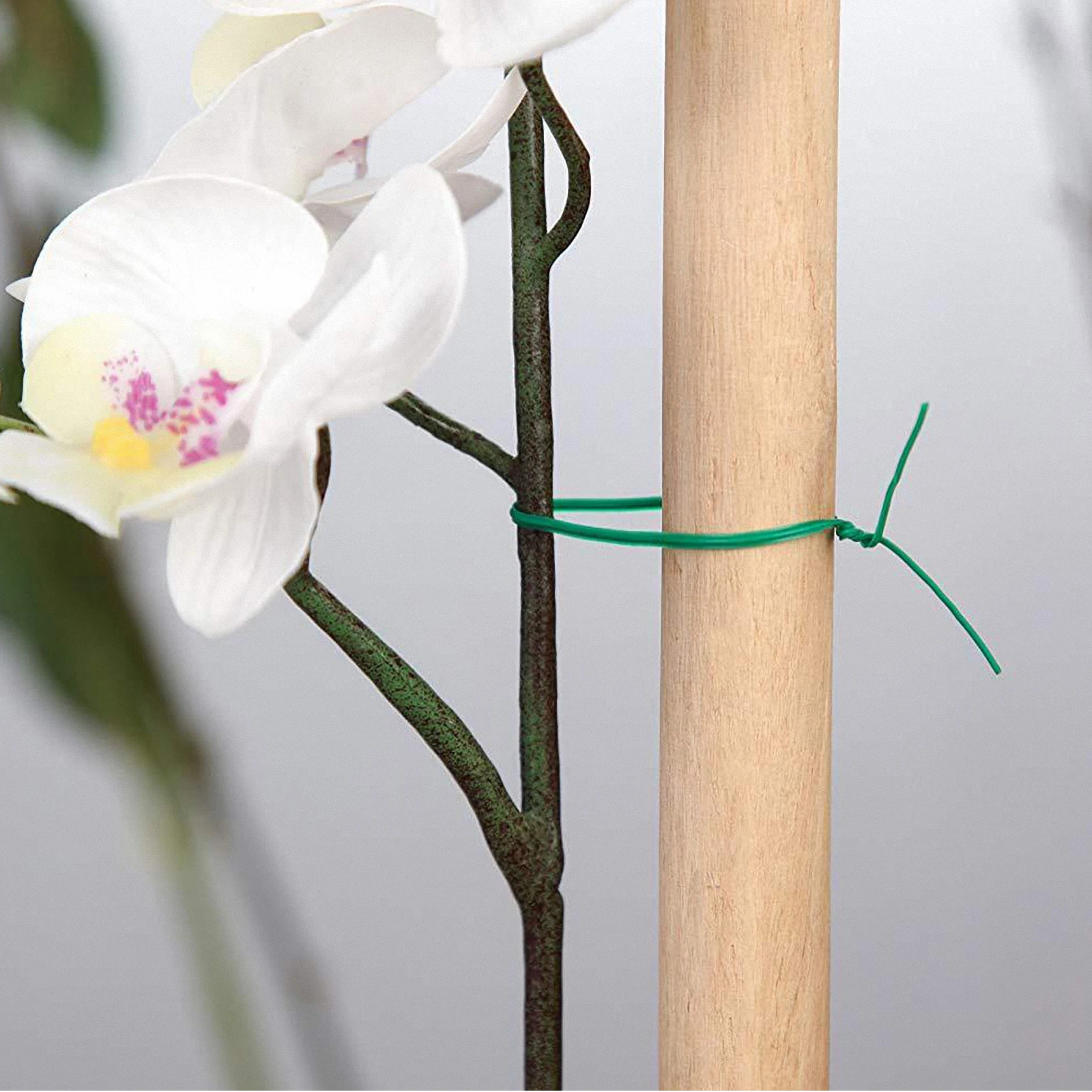 

500pcs Plant Binding Belt Garden Climbing Plants Fixing Wires Plastic Cable Ties Support Stakes Trellises Gardening Tree Vine